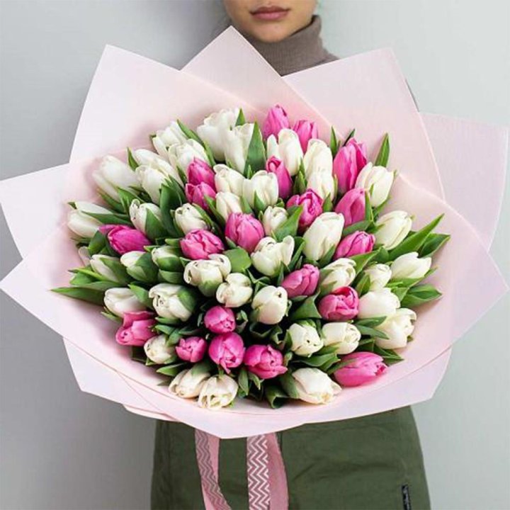 61 бело-розовый тюльпан в Красноярске