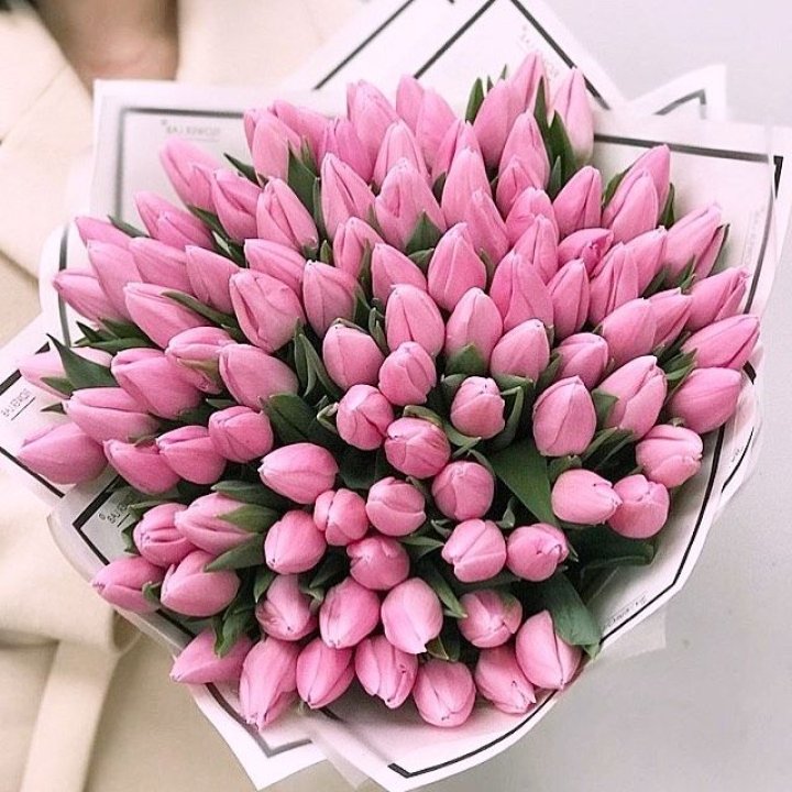 101 розовый тюльпан в белом в Красноярске