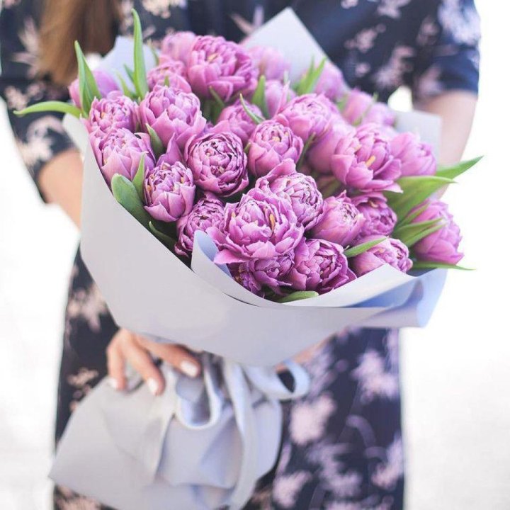 Тюльпаны "Пионс" в Красноярске