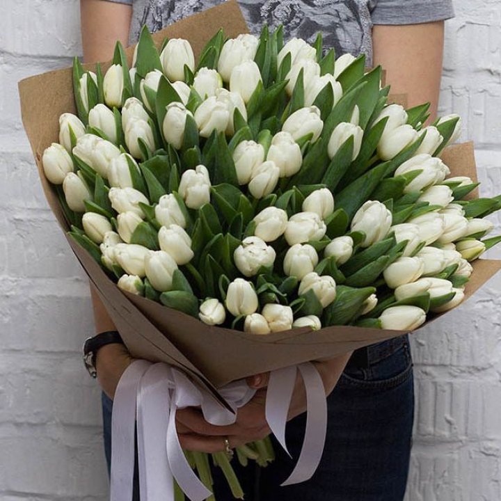 101 тюльпан сноу в Красноярске