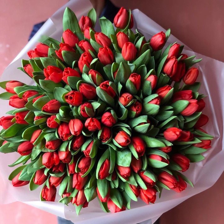 101 красный тюльпан в Красноярске